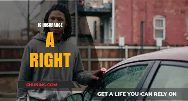 Is Insurance a Fundamental Right or a Privileged Commodity?