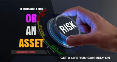 Insurance: A Risk-Mitigating Asset
