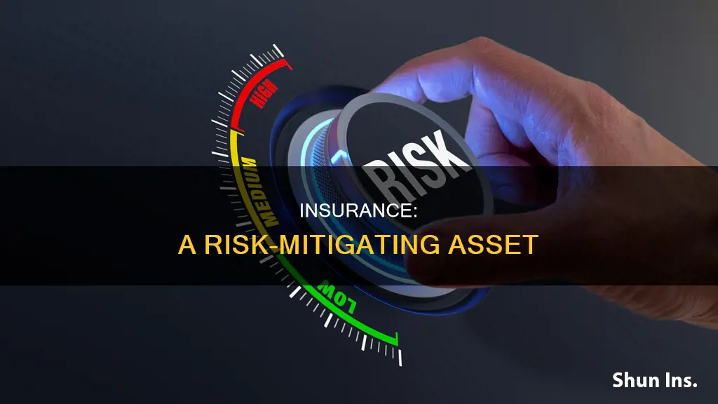 is insurance a risk or an asset