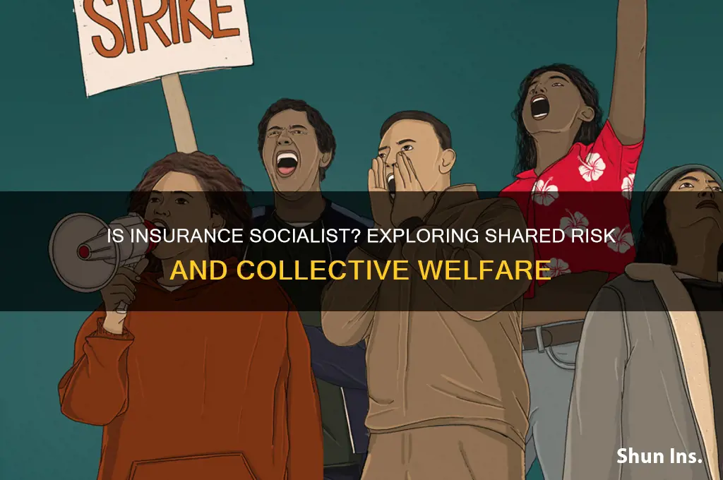 is insurance a socialist concept