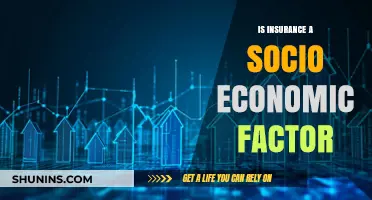 Insurance as a Socio-Economic Factor: Impact and Implications