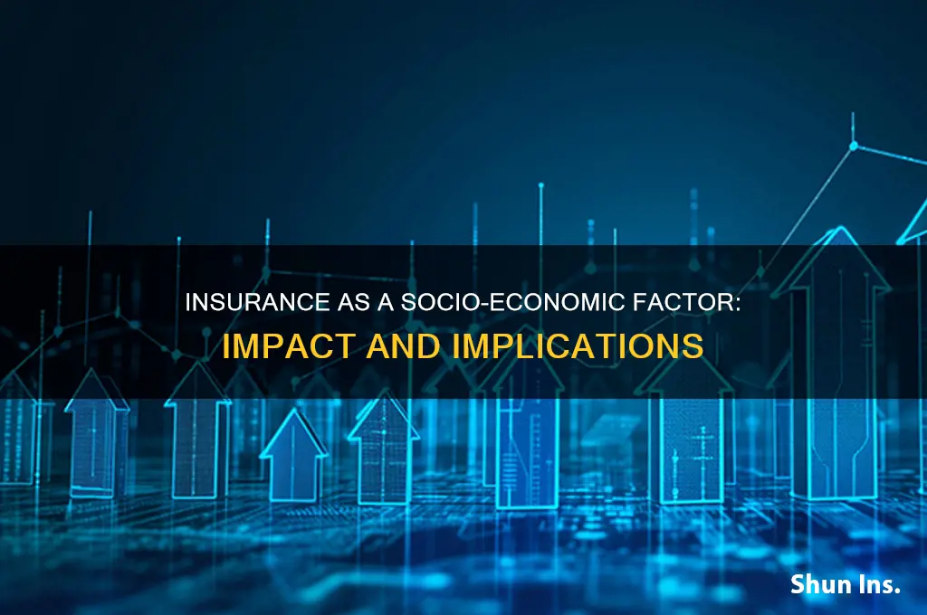 is insurance a socio economic factor