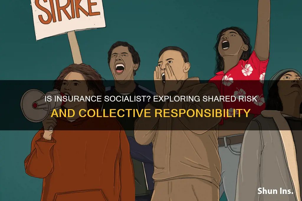 is insurance a solcialist concept