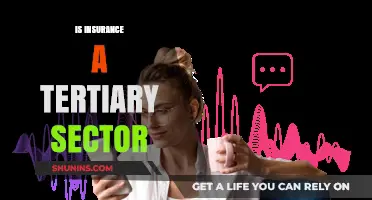 Is Insurance a Tertiary Sector? Exploring Its Role in the Economy