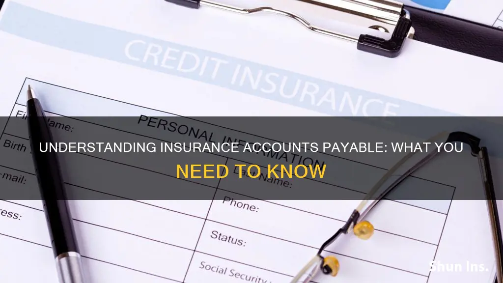 is insurance accounts payable