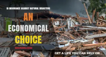 Natural Disaster Insurance: A Cost-Effective Strategy for Financial Protection?