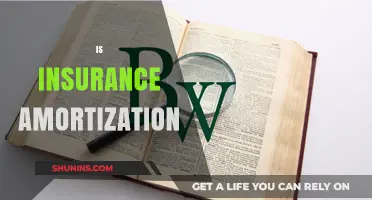 Understanding Insurance Amortization: Benefits, Process, and Financial Impact