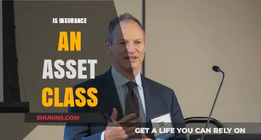 Is Insurance an Asset Class? Exploring Its Role in Investment Portfolios