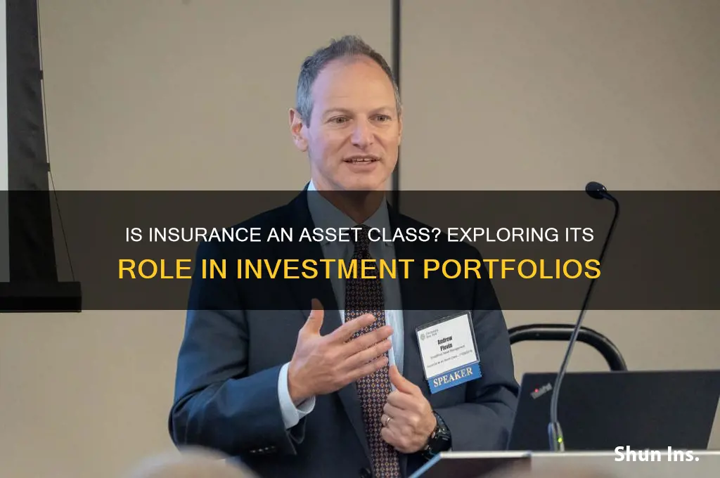 is insurance an asset class