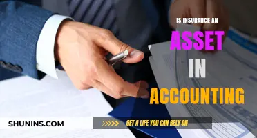 Insurance Accounting: Is Insurance an Asset?