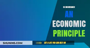 Is Insurance an Economic Principle? Exploring Risk Management and Financial Stability
