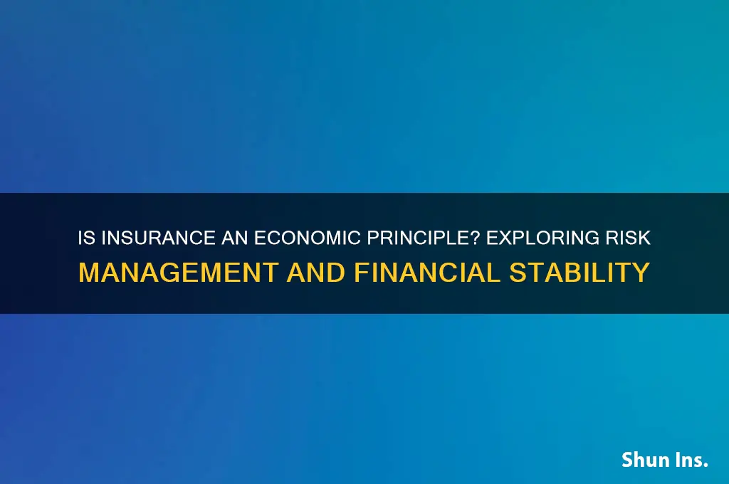 is insurance an economic principle