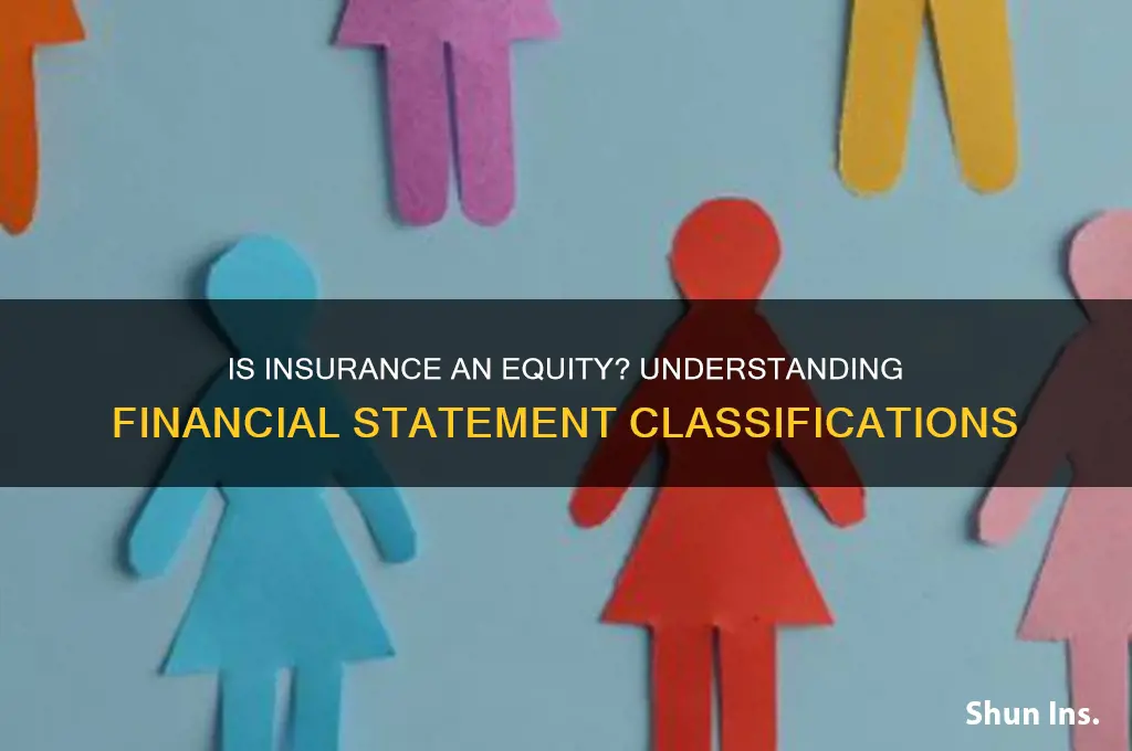 is insurance an equity in financial statements