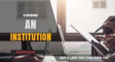 Is Insurance an Institution? Exploring Its Role and Impact