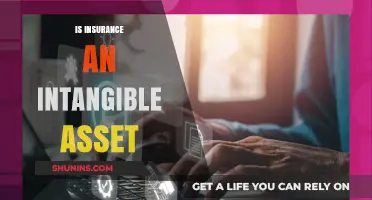 Is Insurance an Intangible Asset? Exploring Its Value and Classification