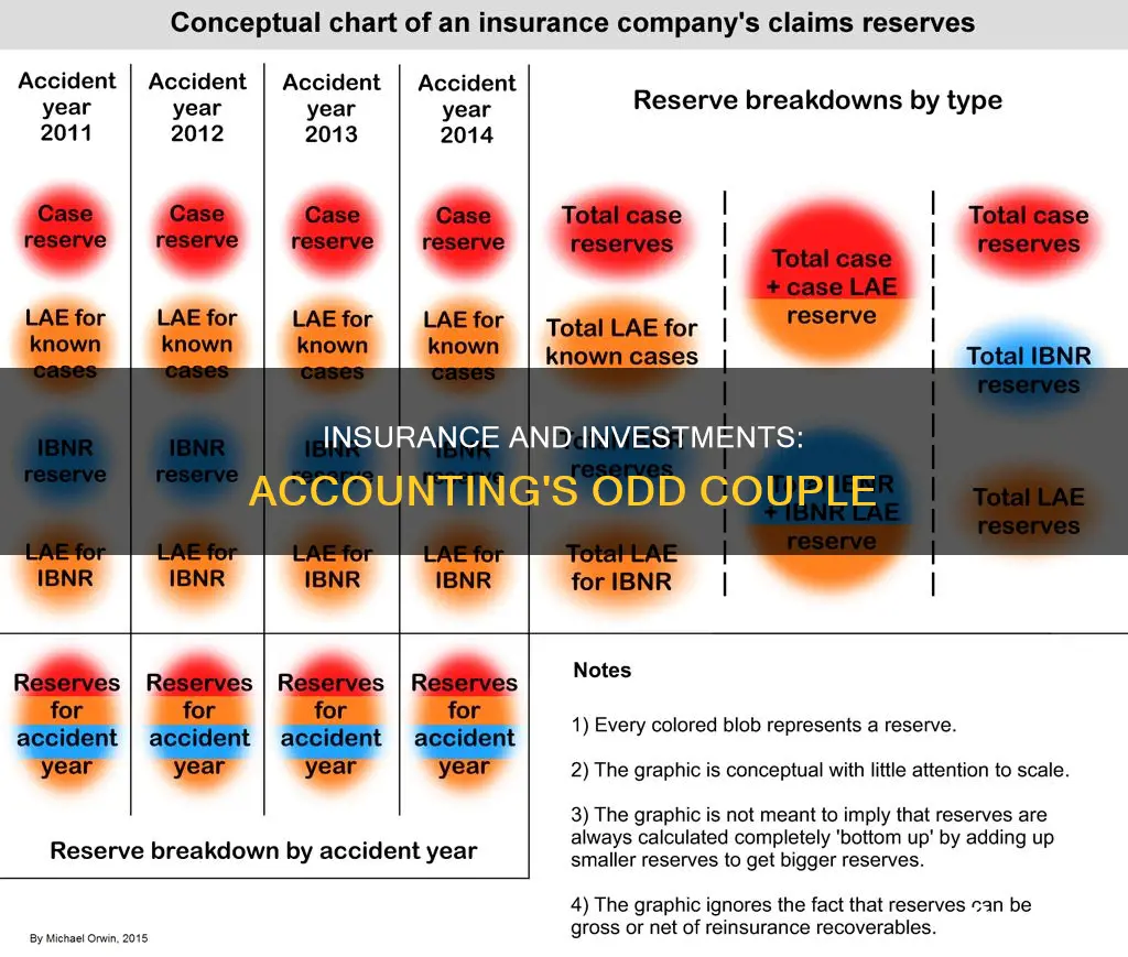 is insurance an investment in accounting