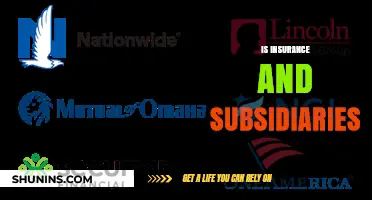 Understanding Insurance and Its Subsidiaries: A Comprehensive Guide to Coverage