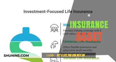 Insurance as an Asset: A Smart Investment?
