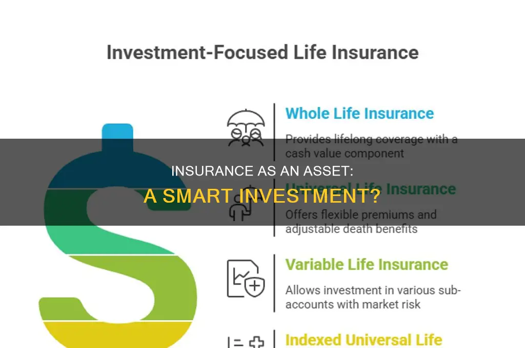 is insurance asset
