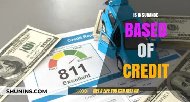 Does Your Credit Score Impact Insurance Rates? Understanding the Connection