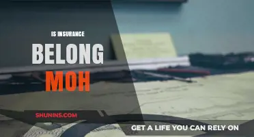 Does Insurance Fall Under MOH's Jurisdiction? A Comprehensive Analysis