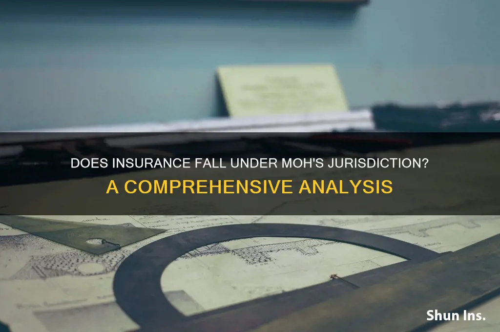 is insurance belong moh