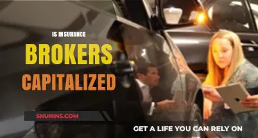 Is 'Insurance Brokers' Capitalized? A Grammar Guide for Professionals