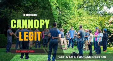 Is Insurance Canopy Legit? Uncovering the Truth About Their Services