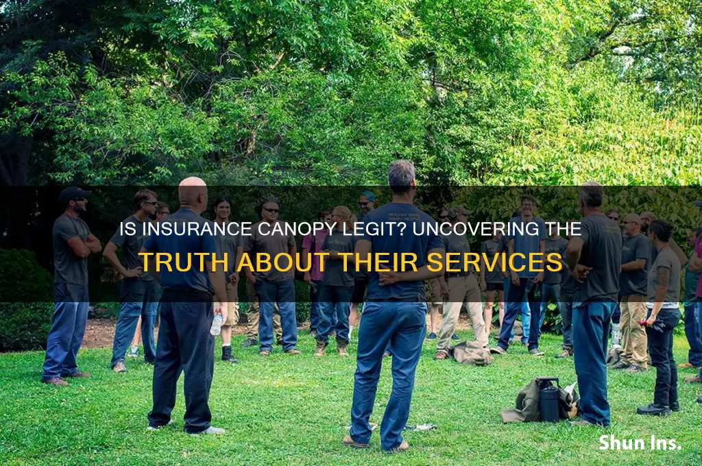 is insurance cannopy legit