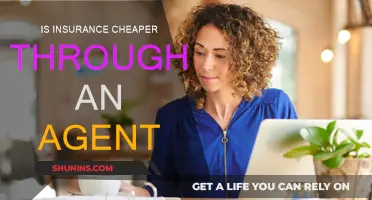 Insurance Agents: Cheaper or Costly?