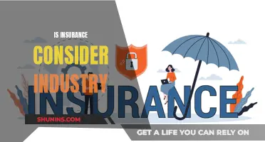 Insurance: An Industry or Not?