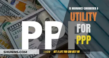 Insurance: A Utility for PPP?