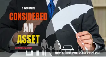 Insurance: Asset or Expense?