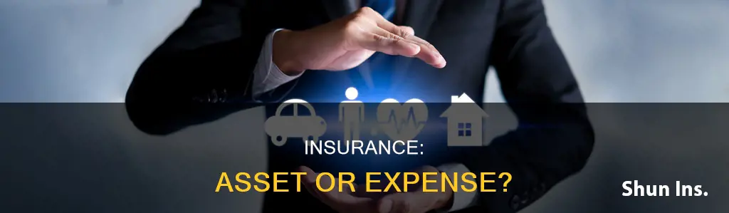 is insurance considered an asset