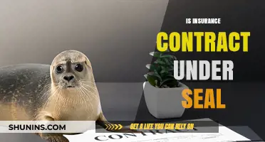 Is an Insurance Contract Under Seal? Legal Insights and Implications