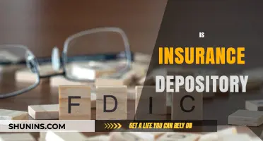 Understanding the Role of Insurance Depository in Financial Security