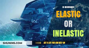 Understanding Insurance Elasticity: Is It Elastic or Inelastic?
