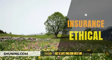 Is Insurance Ethical? Exploring Morality in Risk Management and Profit