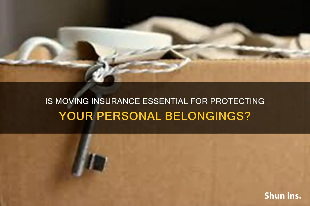 is insurance for moving personal effects really necessary