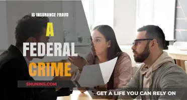 Insurance Fraud: Federal Crime or State Jurisdiction?