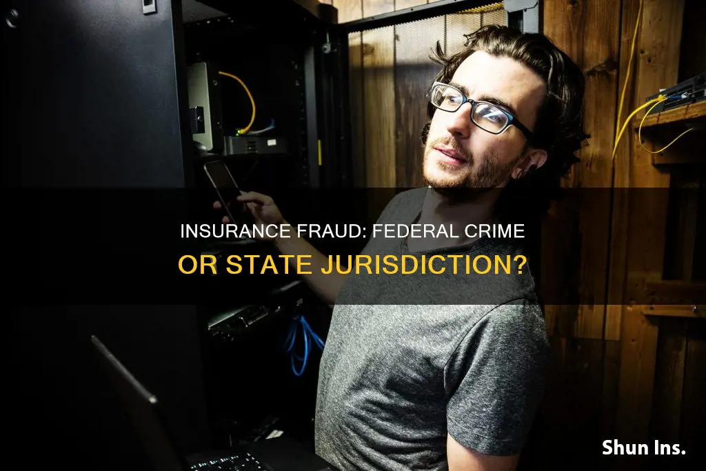 is insurance fraud a federal crime