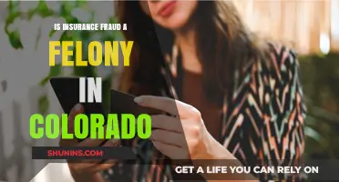Is Insurance Fraud a Felony in Colorado? Legal Insights
