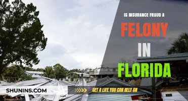 Insurance Fraud in Florida: Felony or Misdemeanor?