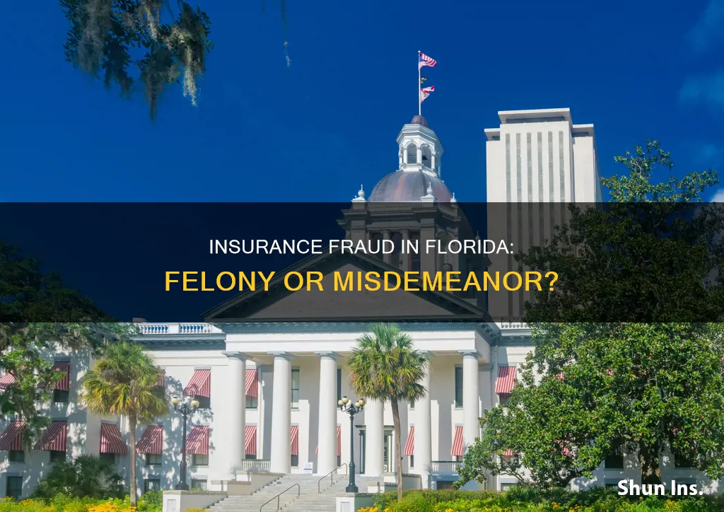 is insurance fraud a felony in Florida