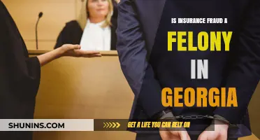 Is Insurance Fraud a Felony in Georgia? Legal Insights