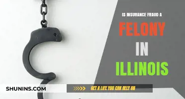Insurance Fraud in Illinois: Felony Charges and Legal Consequences Explained