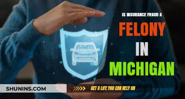 Is Insurance Fraud a Felony in Michigan? Legal Consequences Explained