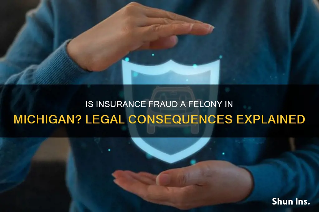is insurance fraud a felony in michigan