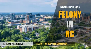 Is Insurance Fraud a Felony in North Carolina? Legal Insights