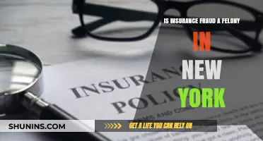 Is Insurance Fraud a Felony in New York? Legal Insights
